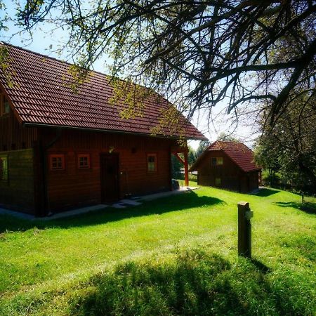 Urlaub Am Glatzl Bauernhof Villa Sankt Lorenzen am Wechsel Eksteriør billede