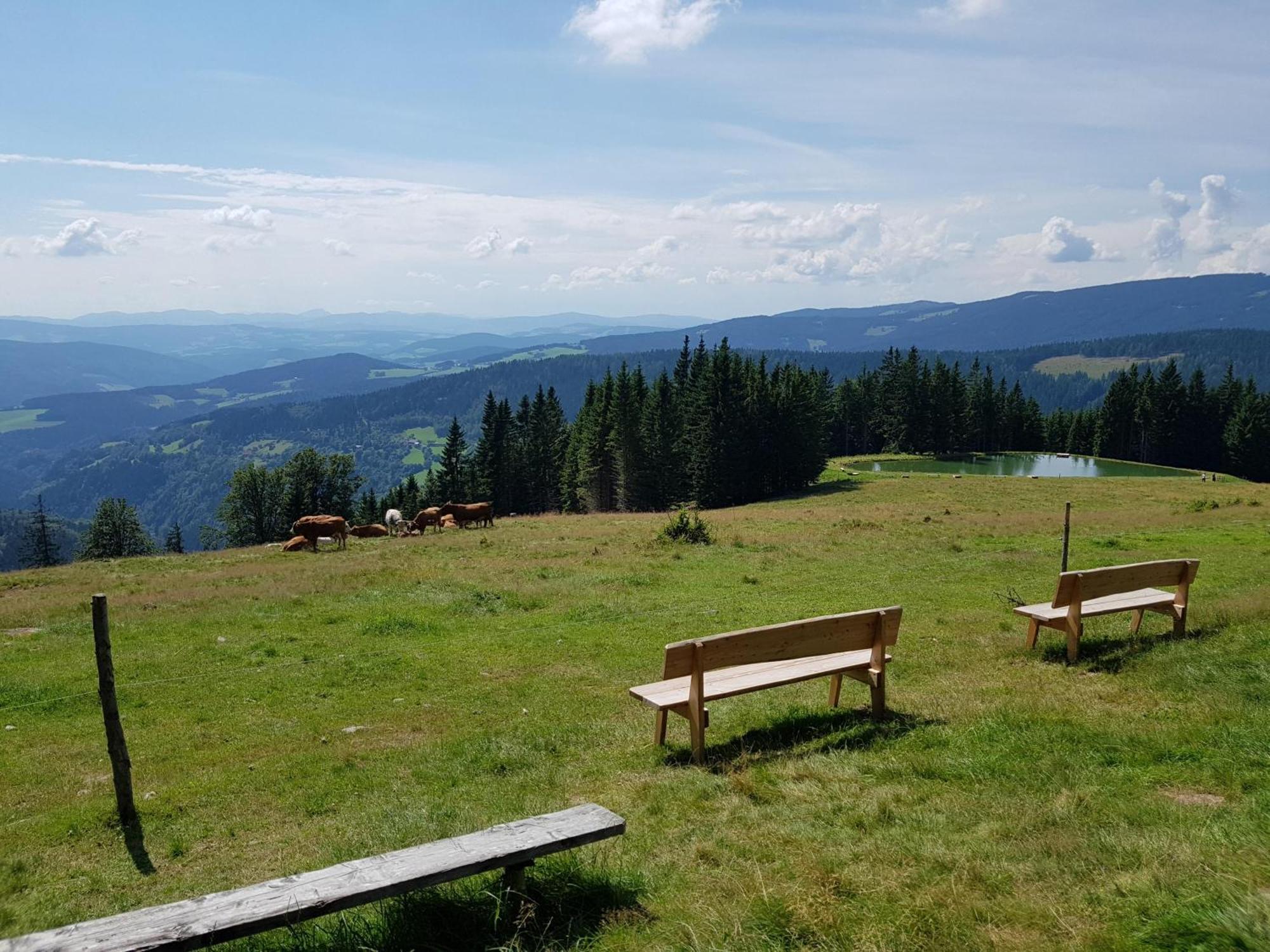 Urlaub Am Glatzl Bauernhof Villa Sankt Lorenzen am Wechsel Eksteriør billede