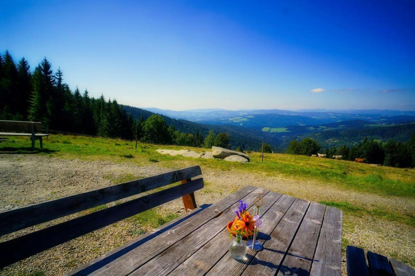 Urlaub Am Glatzl Bauernhof Villa Sankt Lorenzen am Wechsel Eksteriør billede