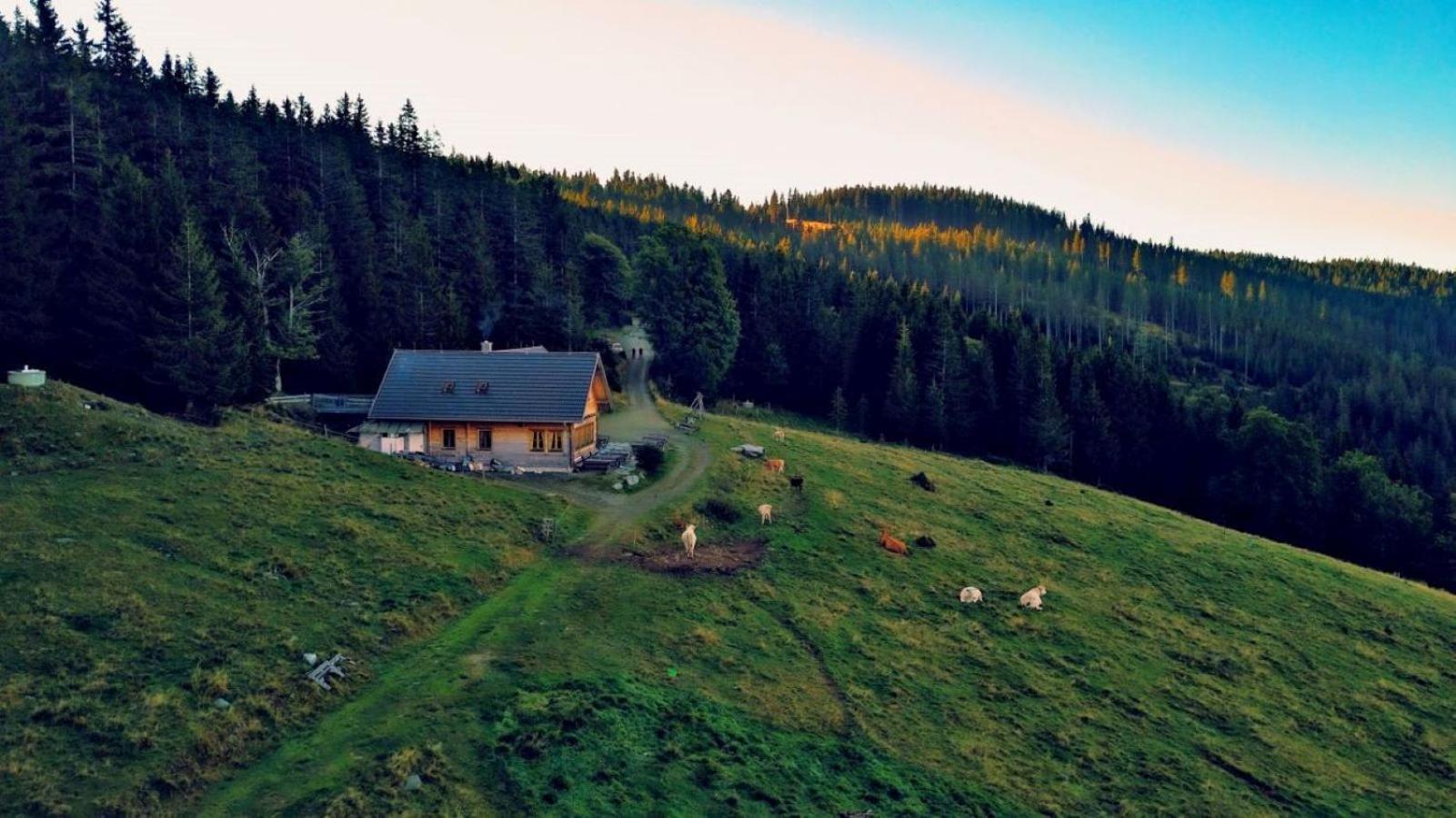 Urlaub Am Glatzl Bauernhof Villa Sankt Lorenzen am Wechsel Eksteriør billede