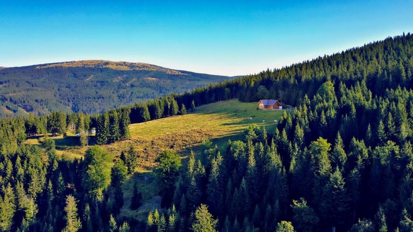 Urlaub Am Glatzl Bauernhof Villa Sankt Lorenzen am Wechsel Eksteriør billede